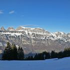 Tannenbodenalp Blickrichtung Norden