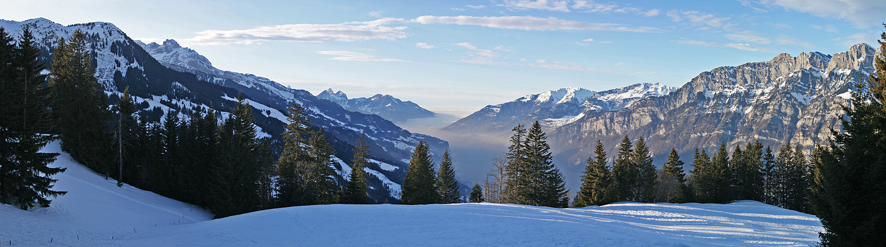 Tannenbodenalp Richtung Zürich