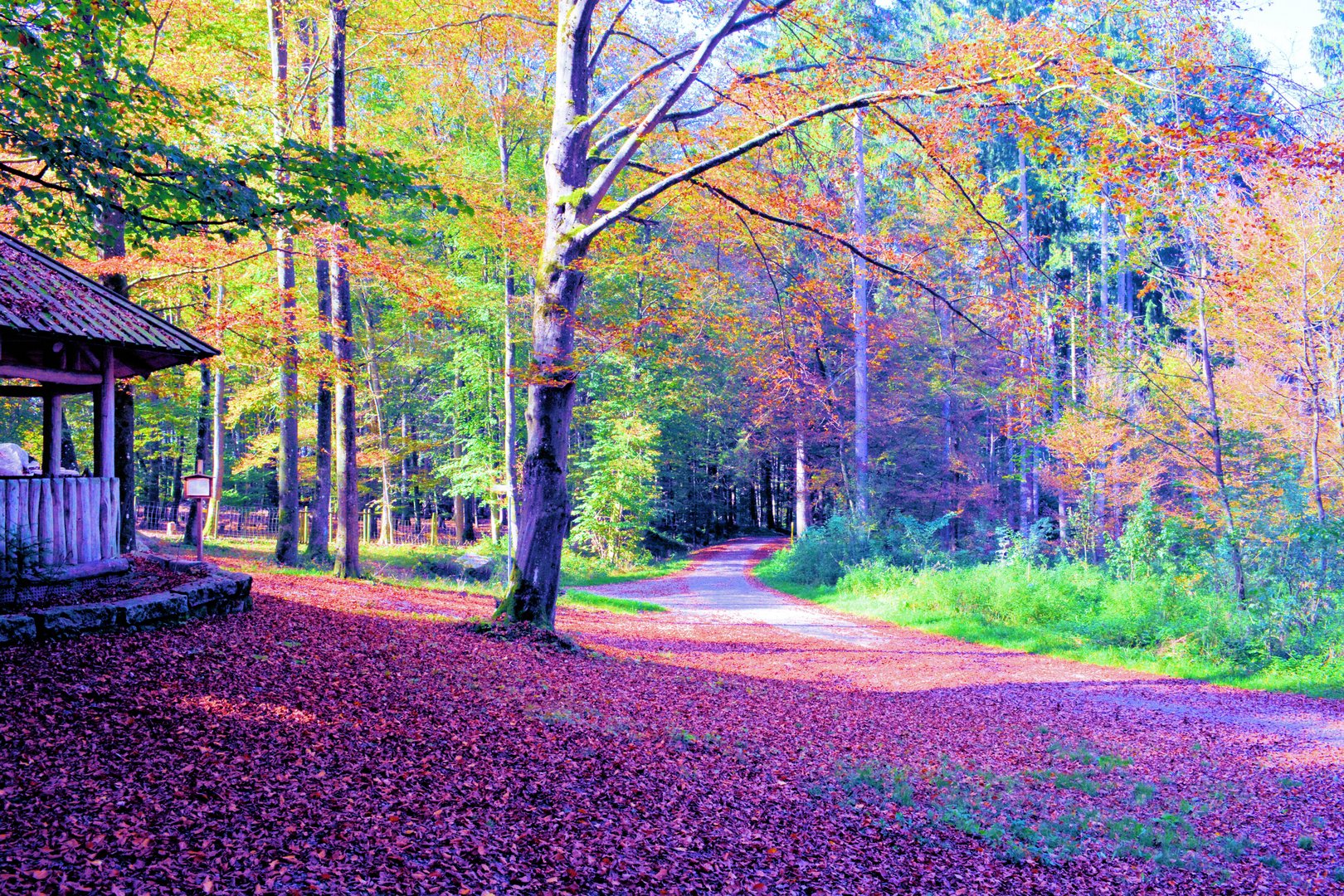 Tannenbühl Bad Waldsee