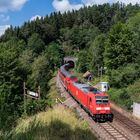 Tannenbühltunnel