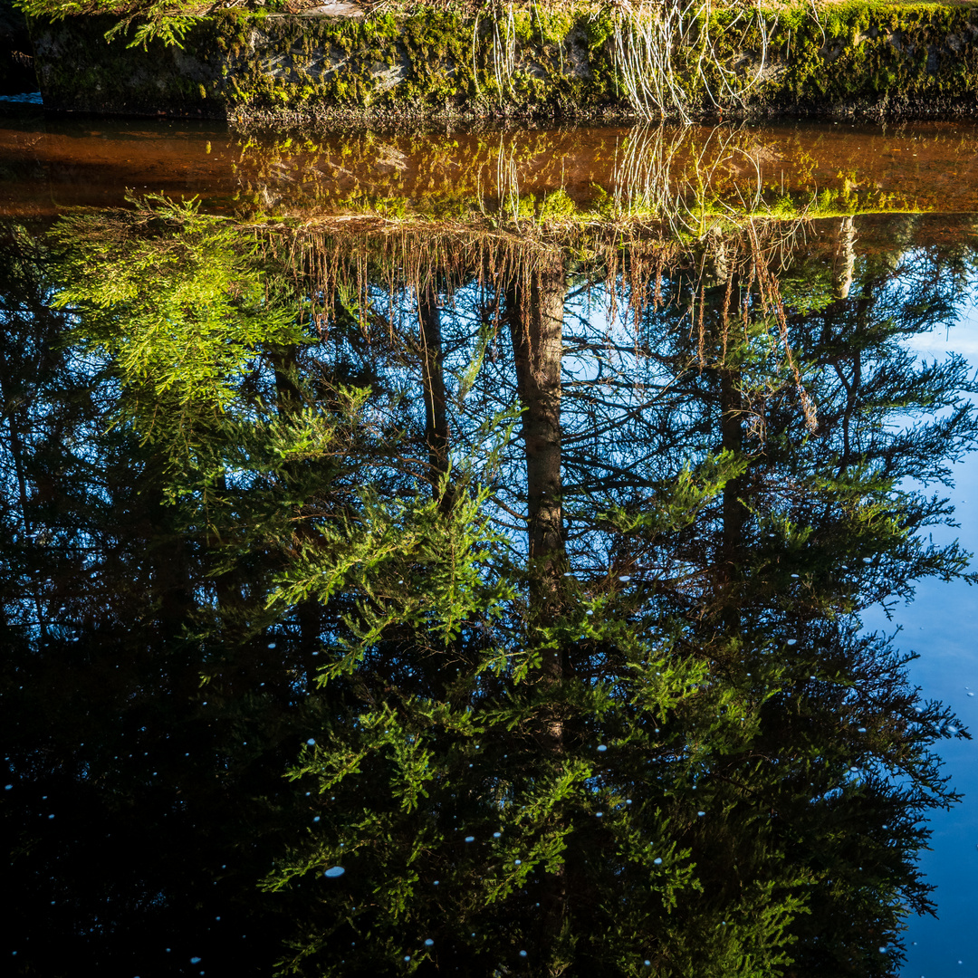 tannengrün und himmelsblau