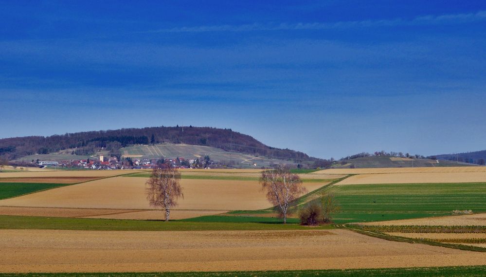 Tannenkirch: Hüppberg und *Hohe Schule*