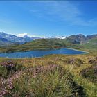 Tannensee auf Melchseefrutt