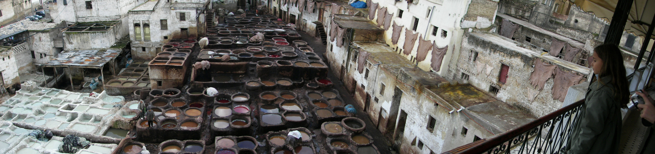 Tannerie de Fes, Maroc