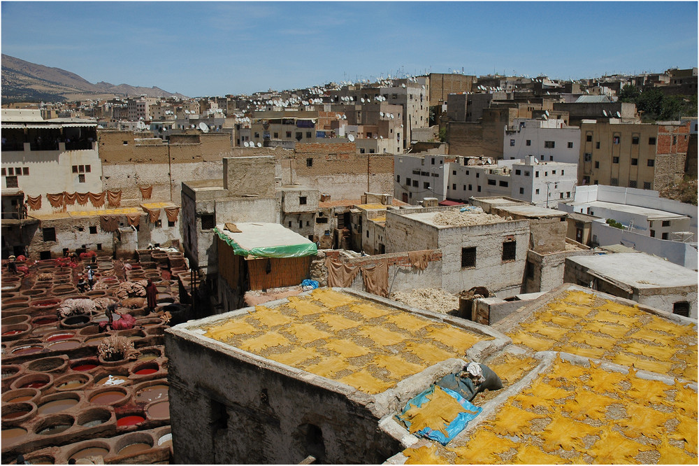 +TANNERIE de FÈS+