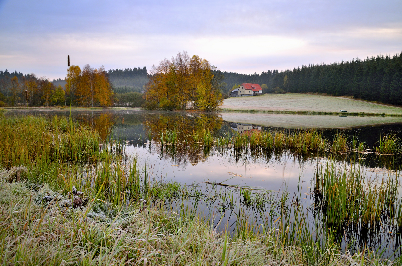 Tannermoor Liebenau