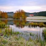 Tannermoor Liebenau