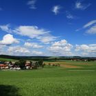 Tannham im salzburger Flachgau