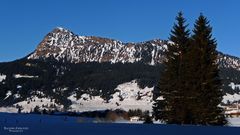 "Tannheim in Tirol 3"