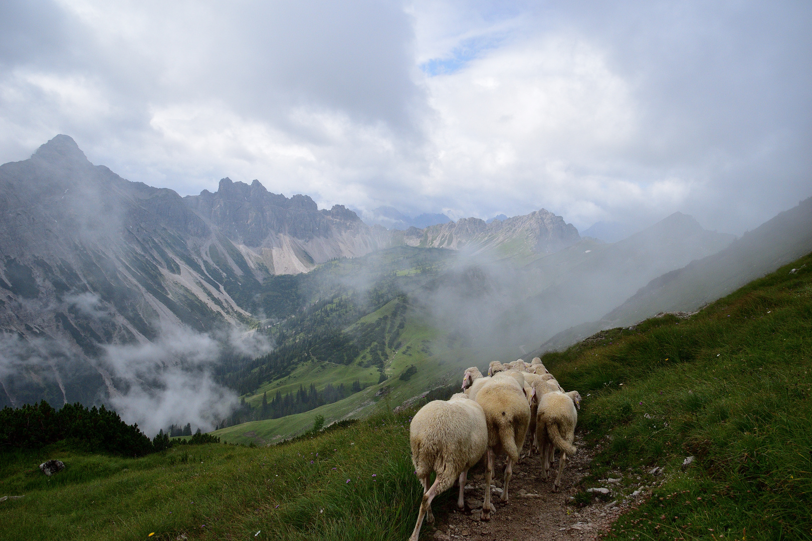 Tannheimer Berge