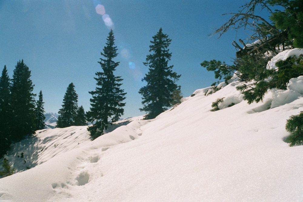 Tannheimer Höhenweg