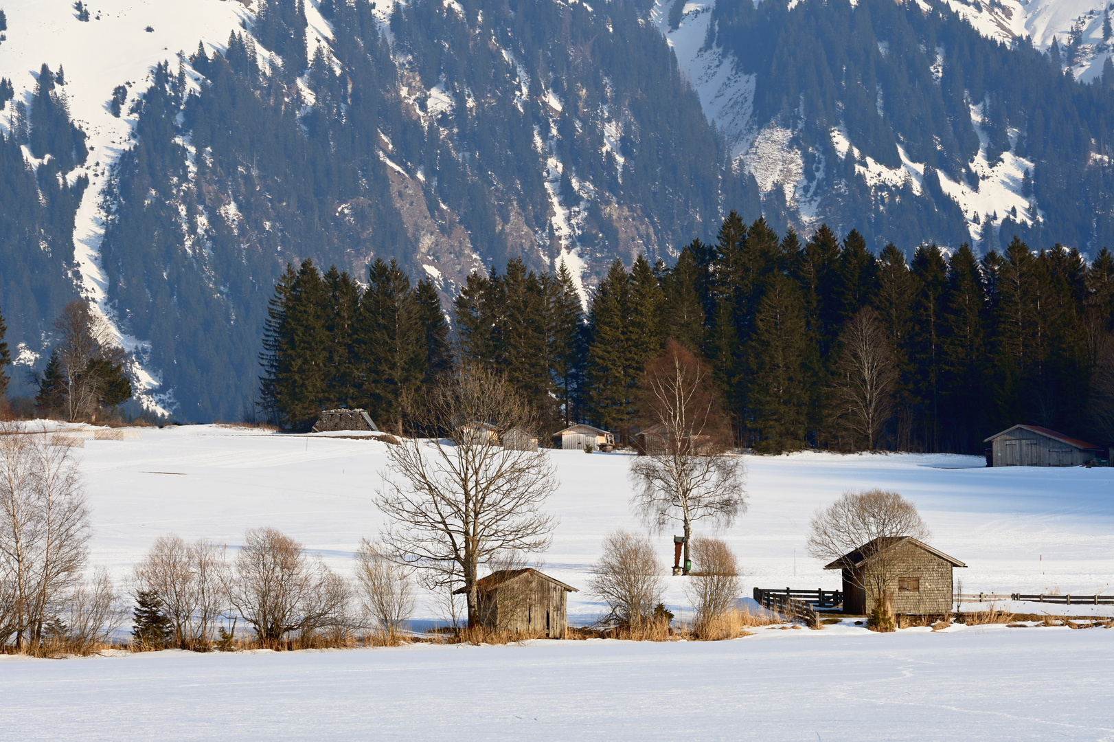 Tannheimer Idylle