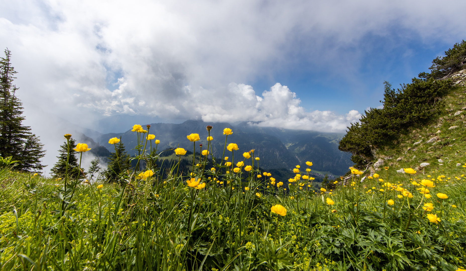 Tannheimer Tal