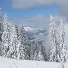 Tannheimertal!