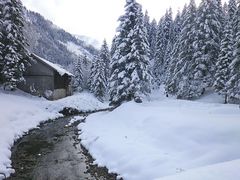 Tannheimertal-Nesselwängle