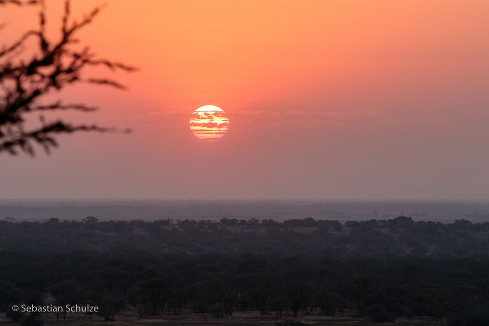Tansania #01 - Sonnenuntergang in der Serengeti