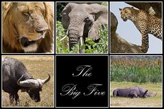 Tansania - 1, The Big Five