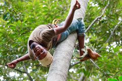 Tansania #23 - Kletterer auf Sansibar