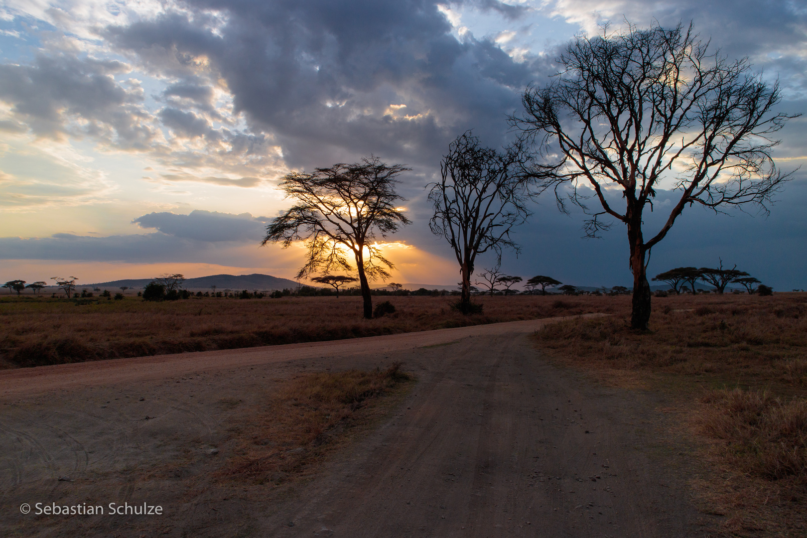 Tansania #32 - Sonnenuntergang in der Serengeti