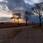 Tansania #32 - Sonnenuntergang in der Serengeti