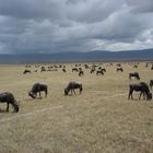 Tansania, der Ngorongoro-Krater