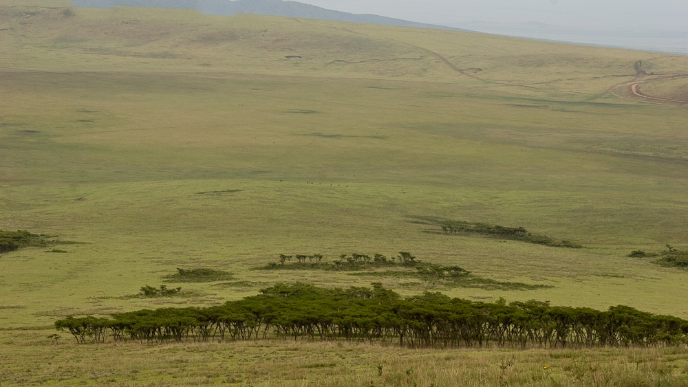 Tansania - Landschaft am Ngorogoro