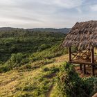 Tansania - Ngorongoro - Karibuni Crater Forest Camp - Blick von unserem Zelt