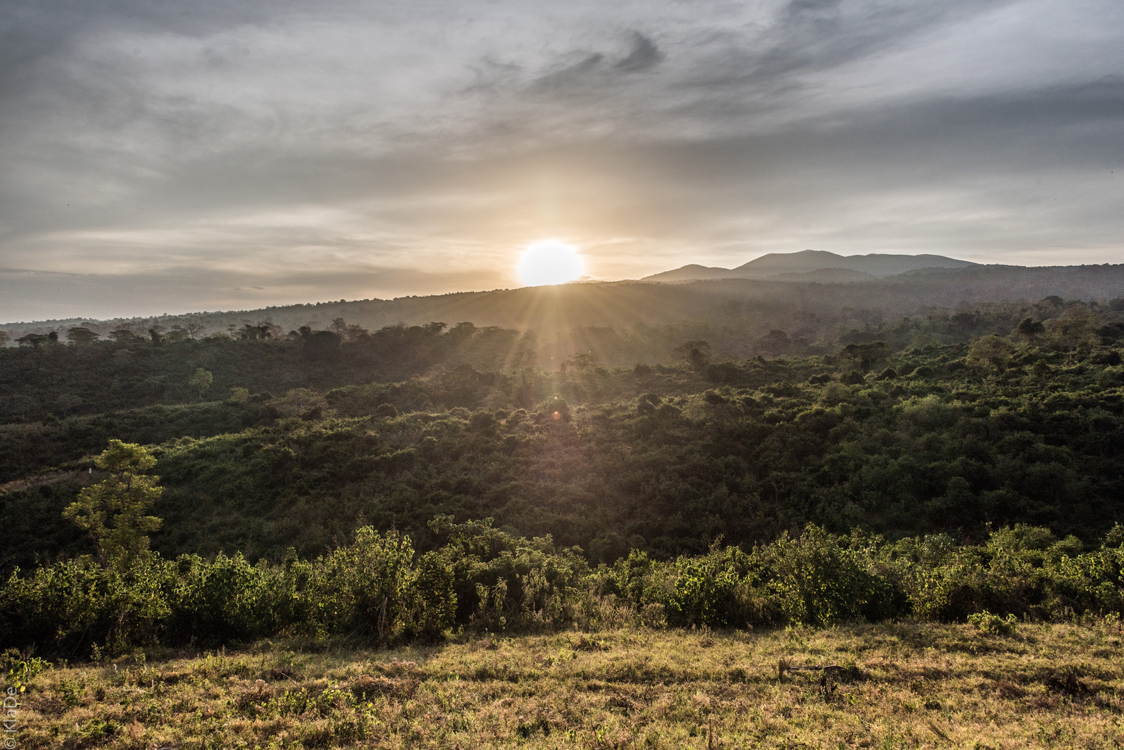 Tansania - Ngorongoro - Karibuni Crater Forest - Sonnenuntergang