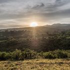 Tansania - Ngorongoro - Karibuni Crater Forest - Sonnenuntergang