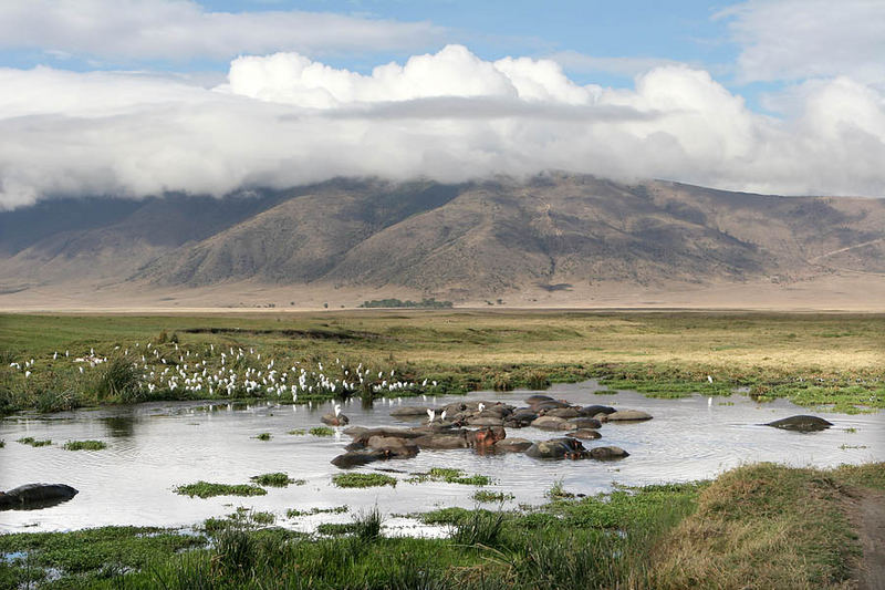 Tansania Ngorongoro Krater