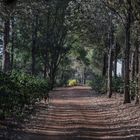 Tansania - Ngorongoro - Quartier im Karibuni Crater Forest Campted Camp 