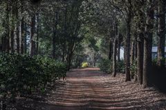 Tansania - Ngorongoro - Quartier im Karibuni Crater Forest Campted Camp 