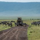 Tansania - Ngorongoro - Straßenszene