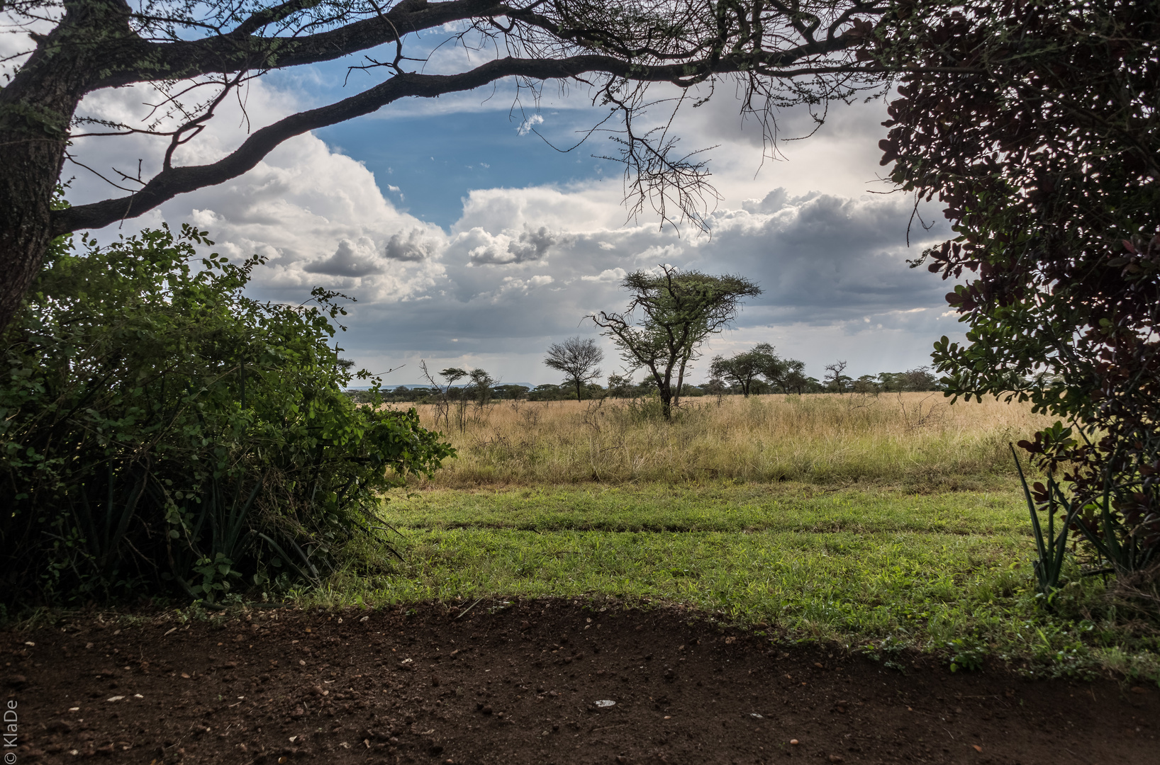 Tansania - Serengeti - Ikoma Tented Camp - Blick in die Savanne