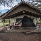 Tansania - Serengeti - Ikoma Tented Camp - Zelt