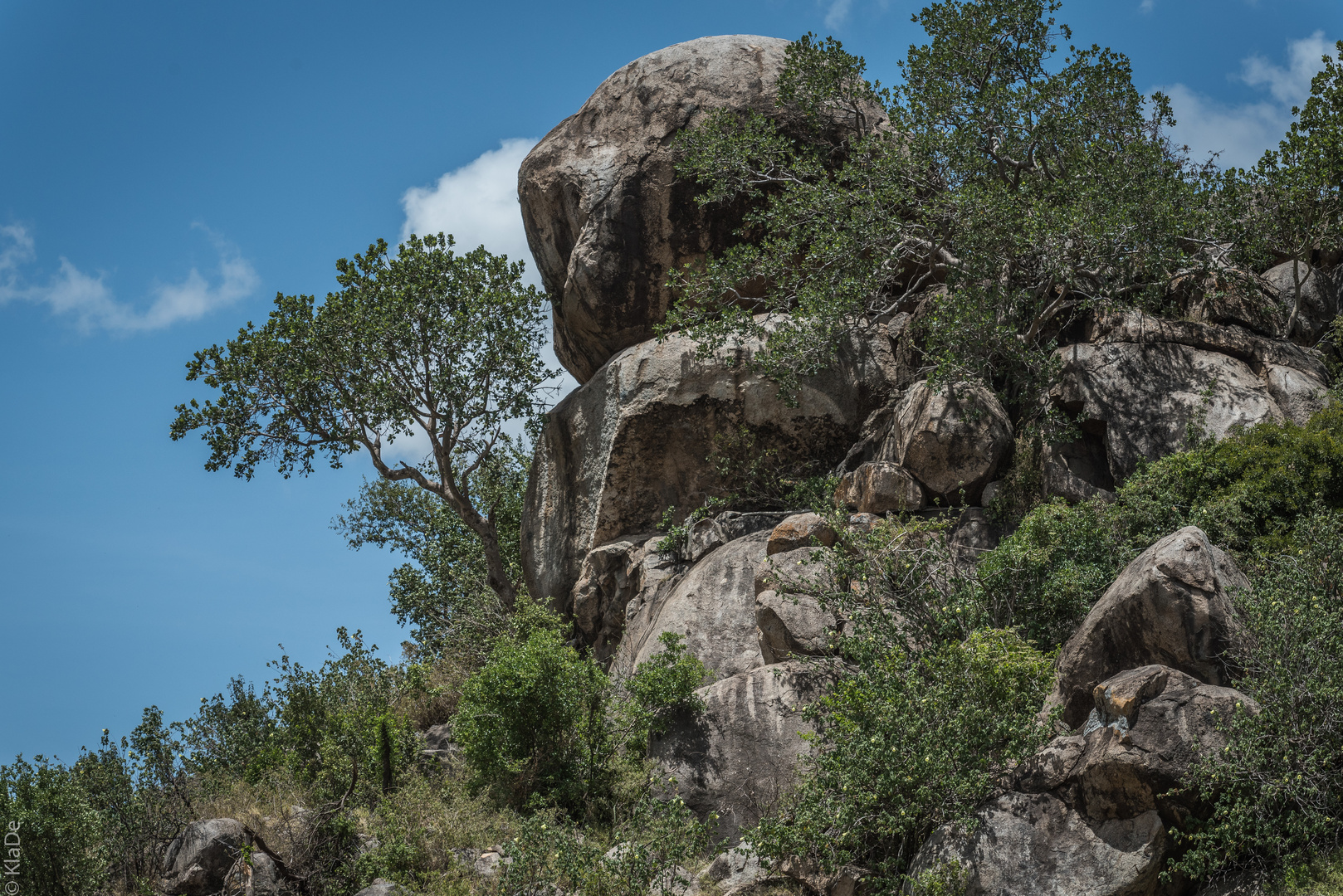 Tansania - Serengeti - Kopjes