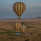 Tansania - Serengeti - Perspektivenwechsel - Kampf der Ballone am Hippo-Pool