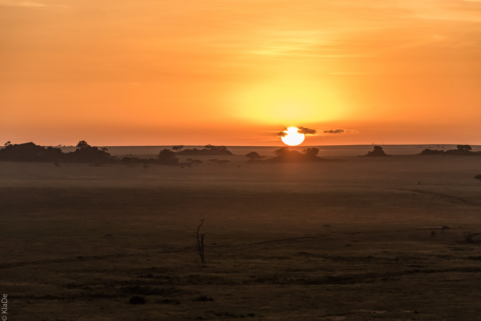 Tansania - Serengeti - Perspektivenwechsel - Sonnenaufgang