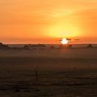Tansania - Serengeti - Perspektivenwechsel - Sonnenaufgang