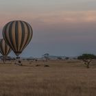 Tansania - Serengeti - Perspektivenwechsel - Zu Land und zur Luft
