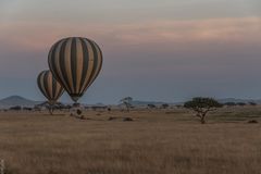 Tansania - Serengeti - Perspektivenwechsel - Zu Land und zur Luft