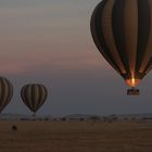 Tansania - Serengeti - Perspektivenwechsel zum Zweiten