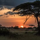 Tansania - Serengeti - Sonnenuntergang vor unserem Zelt