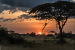 Tansania - Serengeti - Sonnenuntergang vor unserem Zelt