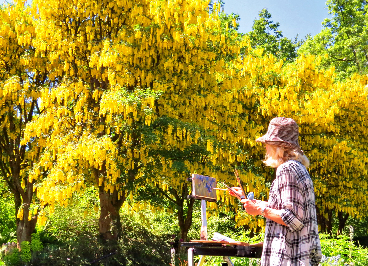  tant de fleurs jaunes