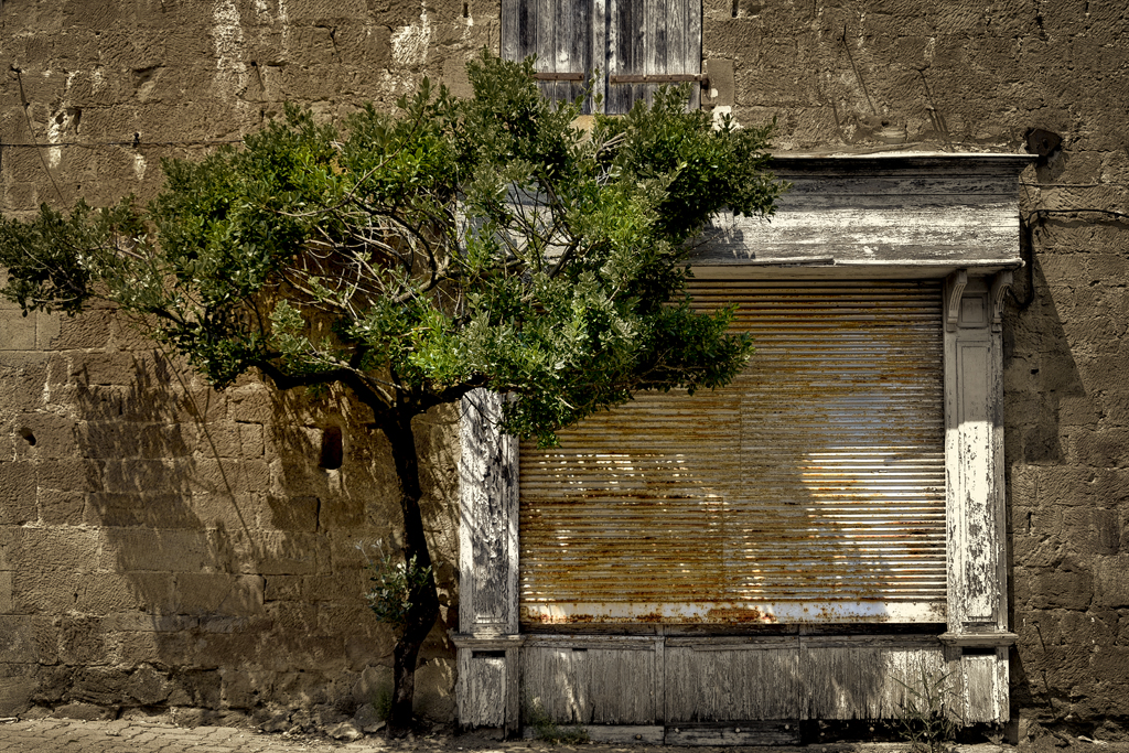 Tant que l'arbre sera vert