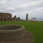 [ Tantalllon Castle und Bass Rock ]