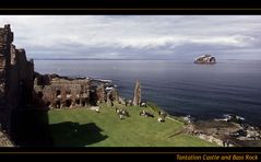 Tantallon Castle and Bass Rock III