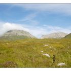 Tants caps, tants barrets / Wolkenköpfer