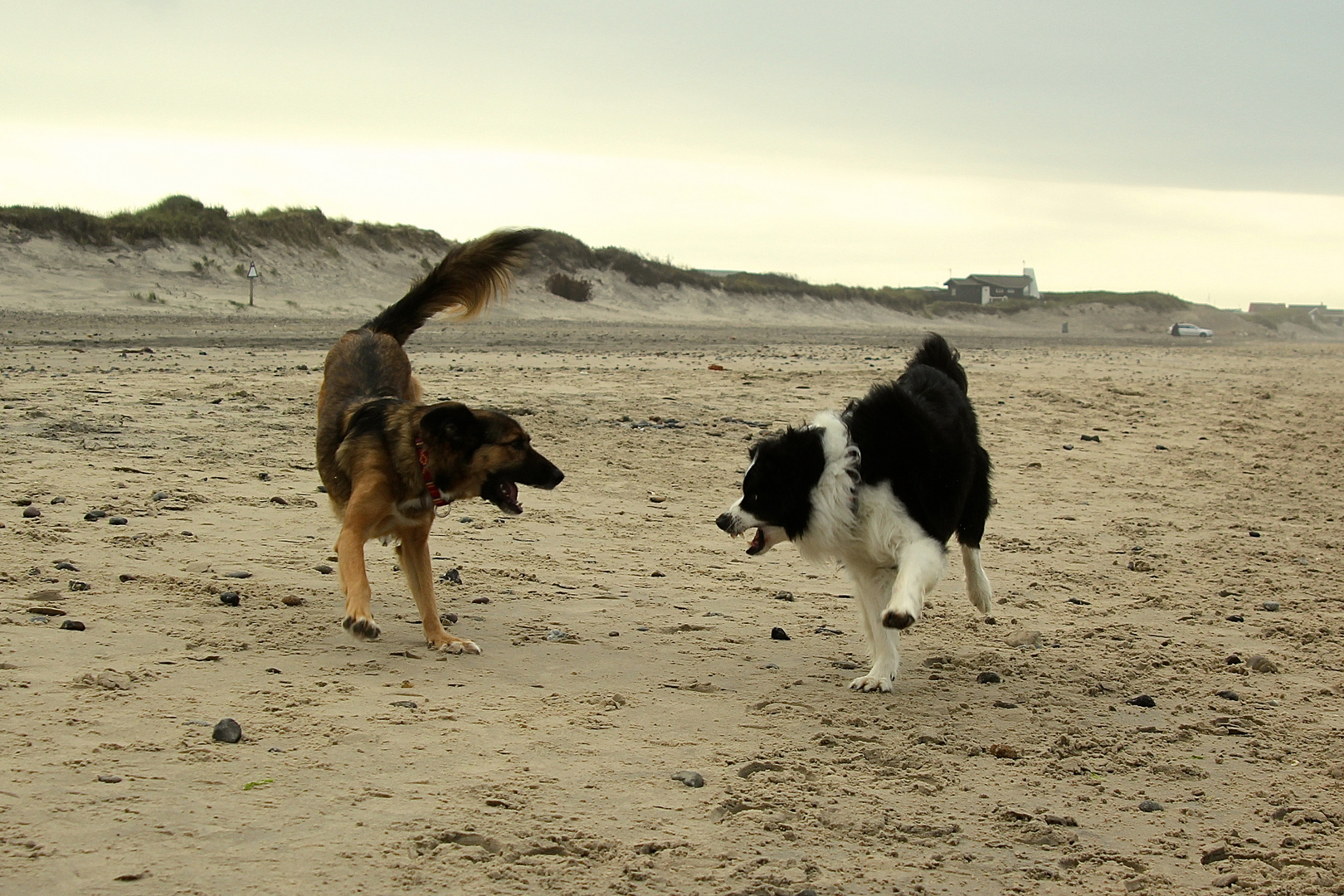 Tanz am Strand